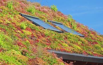 Dovenby living roof systems